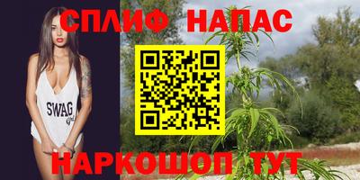 сатива Конаково