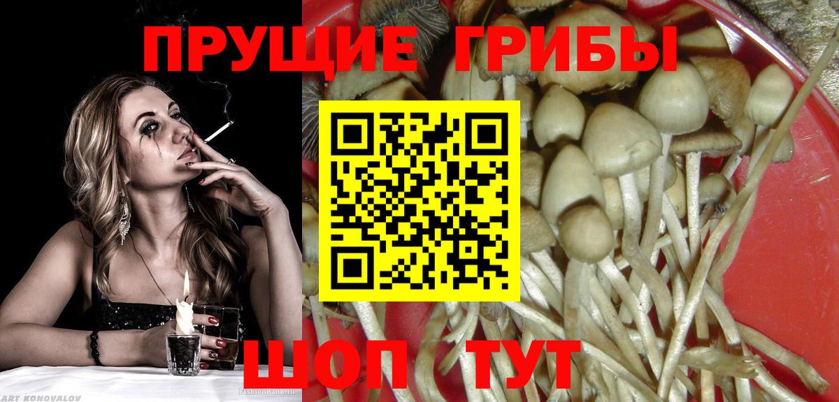 Галлюциногенные грибы ЛСД Касимов