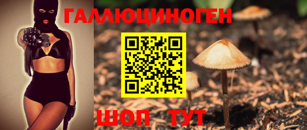 Касимов  Псилоцибиновые грибы ЛСД  Вход с VPN  Псилоцибиновые грибы Psilocybine cubensis 